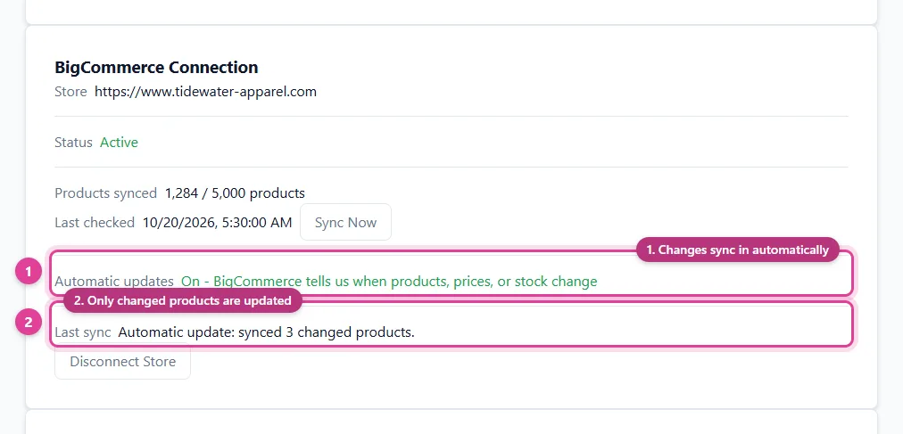 A BigCommerce store connected to sync its BigCommerce catalog to a Google Merchant Center feed automatically, with automatic updates on, in Pin Data Connect